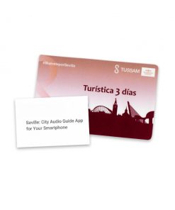 Seville Travel Ticket